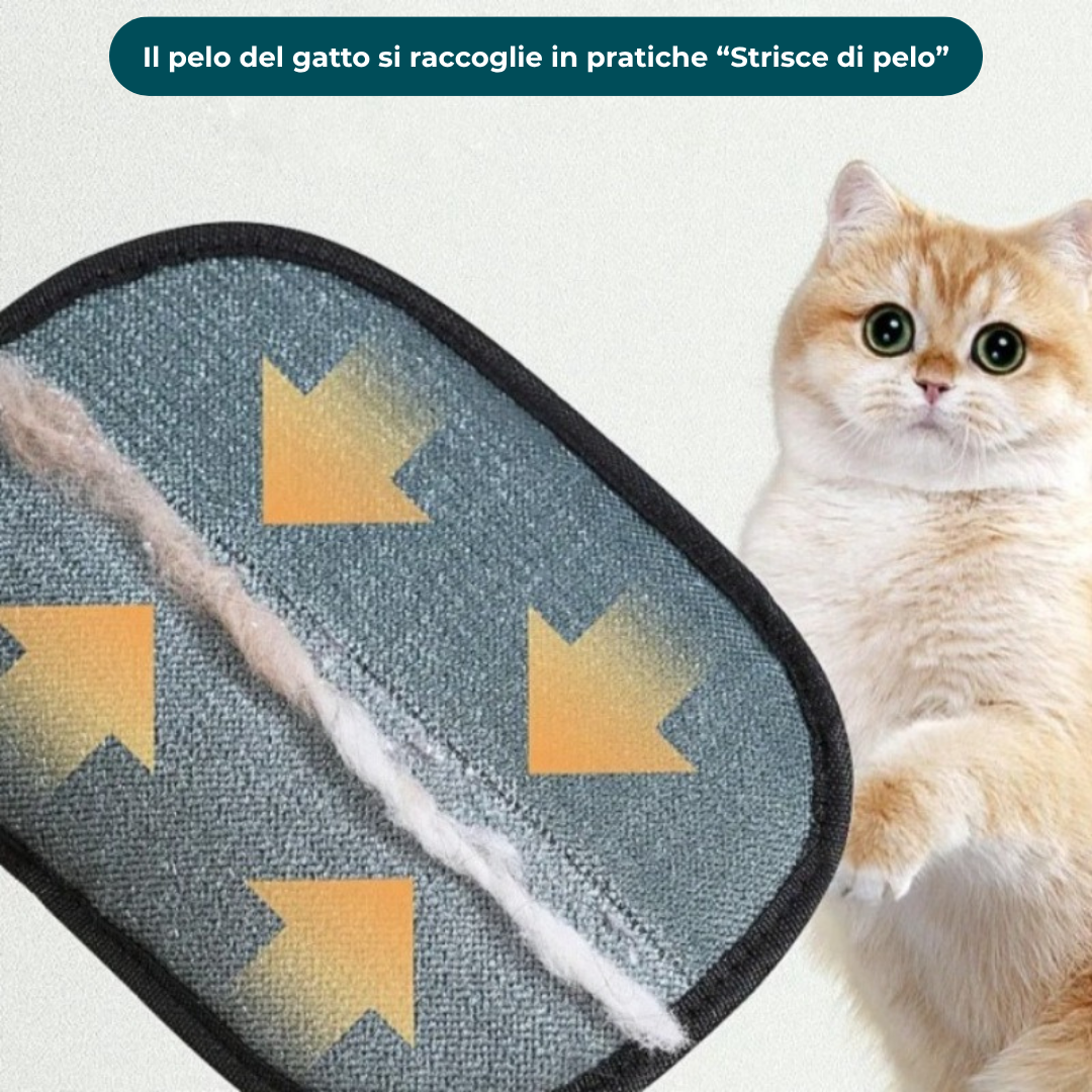 PetMagnet™- Guanti Elettrostatici per Peli di Animali 🤩