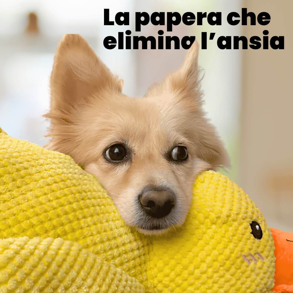 Papero Calmante Anti-Stress - Miglior gioco del 2025 🤩