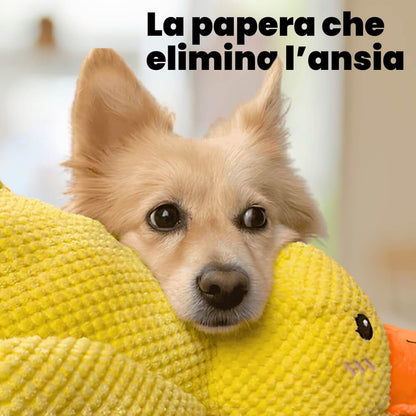 Papero Calmante Anti-Stress - Miglior gioco del 2025 🤩